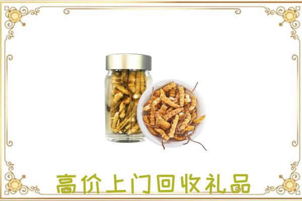 太和县周边回收虫草